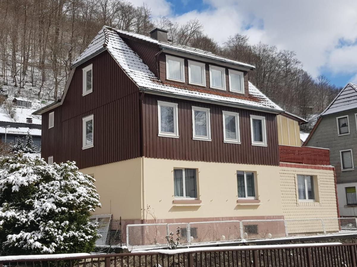 Ferienhaus Am Fluss Mit Traumhafter Dachterrasse ,Garten Und Grill Walkenried Zewnętrze zdjęcie