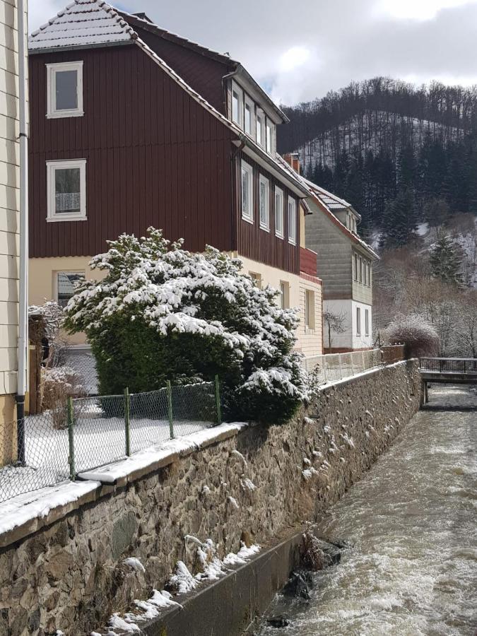 Ferienhaus Am Fluss Mit Traumhafter Dachterrasse ,Garten Und Grill Walkenried Zewnętrze zdjęcie