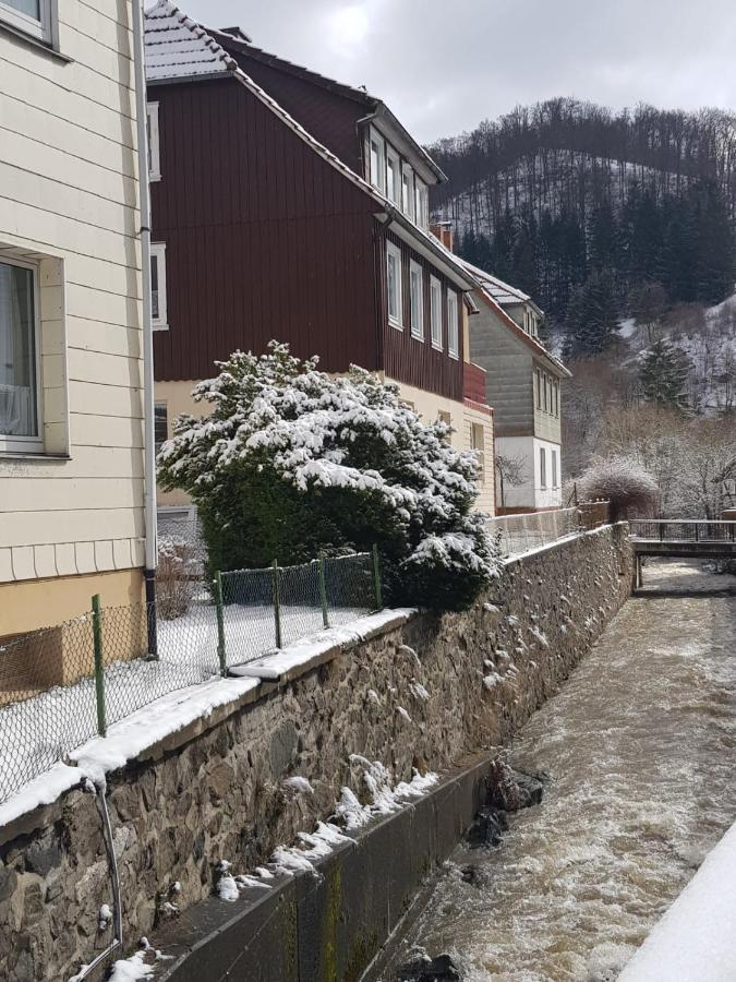 Ferienhaus Am Fluss Mit Traumhafter Dachterrasse ,Garten Und Grill Walkenried Zewnętrze zdjęcie