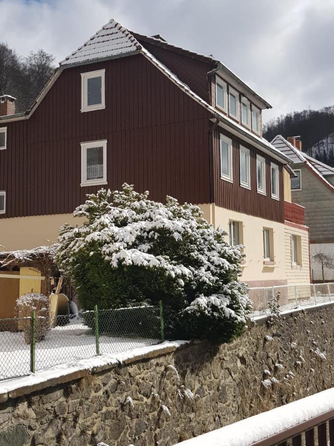 Ferienhaus Am Fluss Mit Traumhafter Dachterrasse ,Garten Und Grill Walkenried Zewnętrze zdjęcie