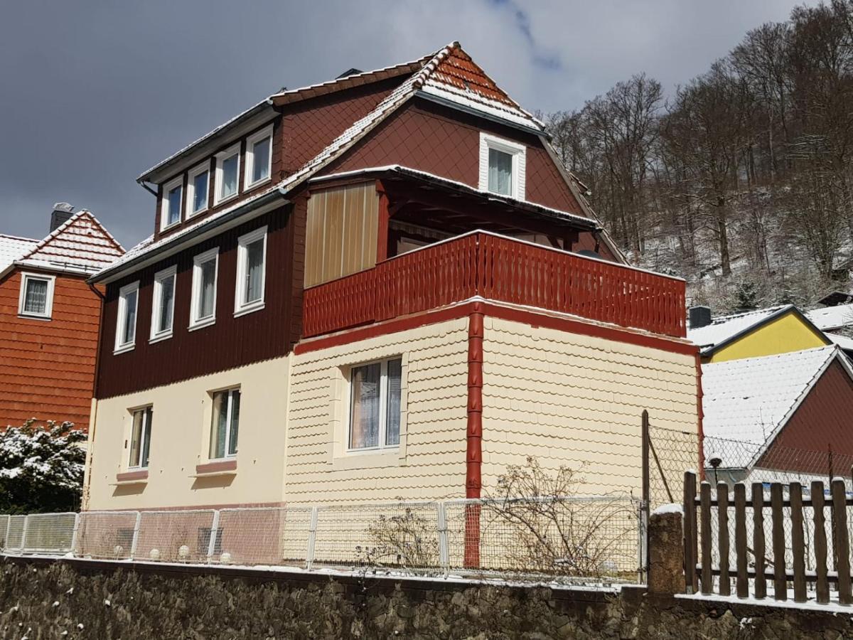 Ferienhaus Am Fluss Mit Traumhafter Dachterrasse ,Garten Und Grill Walkenried Zewnętrze zdjęcie