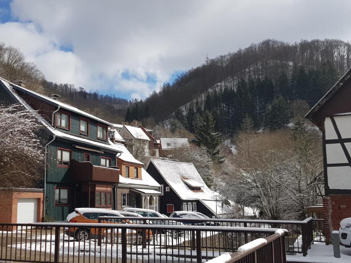 Ferienhaus Am Fluss Mit Traumhafter Dachterrasse ,Garten Und Grill Walkenried Zewnętrze zdjęcie