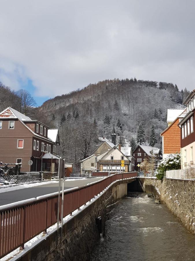 Ferienhaus Am Fluss Mit Traumhafter Dachterrasse ,Garten Und Grill Walkenried Zewnętrze zdjęcie