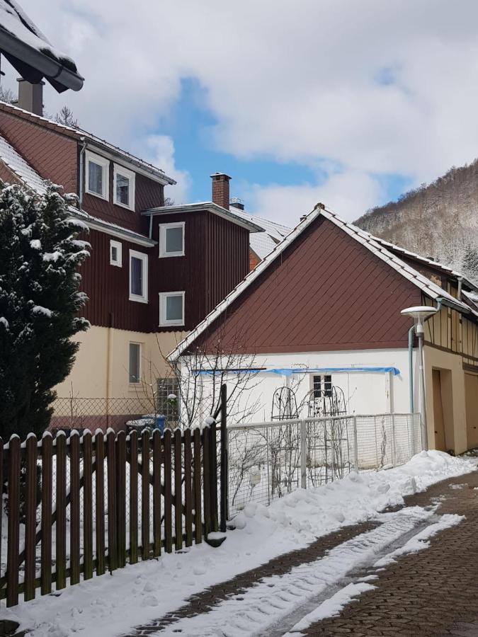 Ferienhaus Am Fluss Mit Traumhafter Dachterrasse ,Garten Und Grill Walkenried Zewnętrze zdjęcie