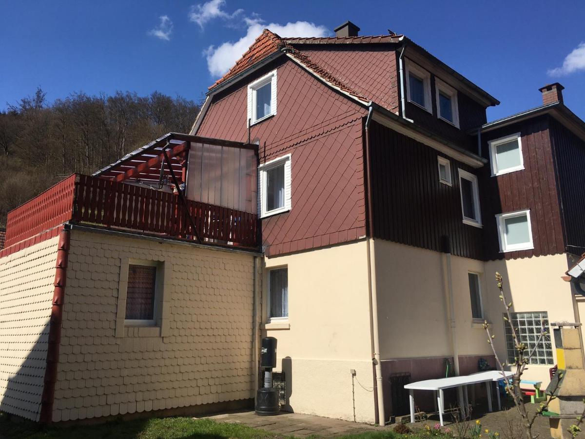 Ferienhaus Am Fluss Mit Traumhafter Dachterrasse ,Garten Und Grill Walkenried Zewnętrze zdjęcie